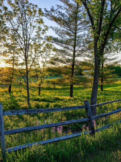 Great Western Trail - West Chicago, IL