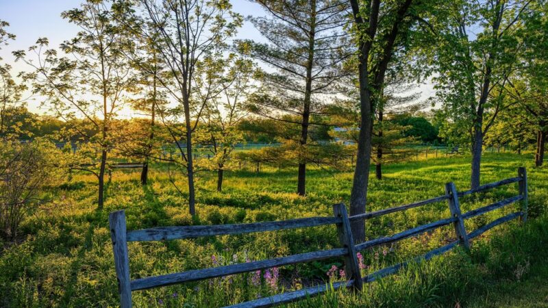Great Western Trail - West Chicago, IL