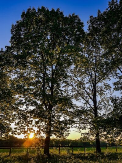 Great Western Trail - West Chicago, IL