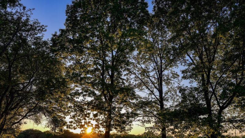 Great Western Trail - West Chicago, IL