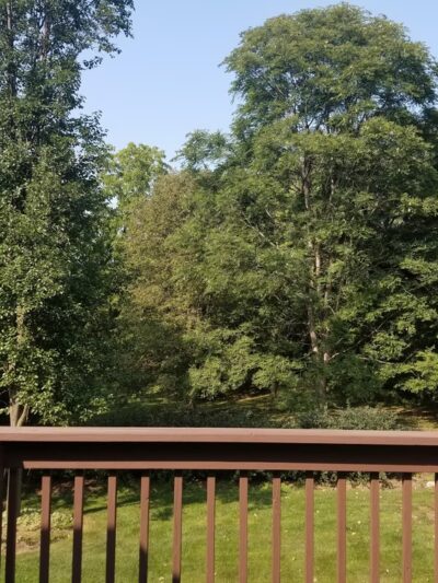 Kwasman Memorial Park - West Chicago, IL