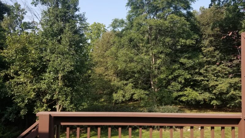 Kwasman Memorial Park - West Chicago, IL