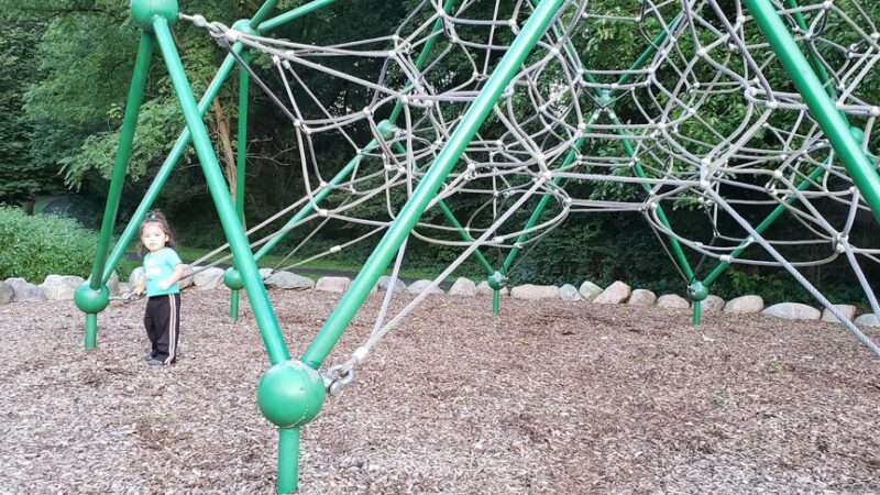 Kwasman Memorial Park - West Chicago, IL