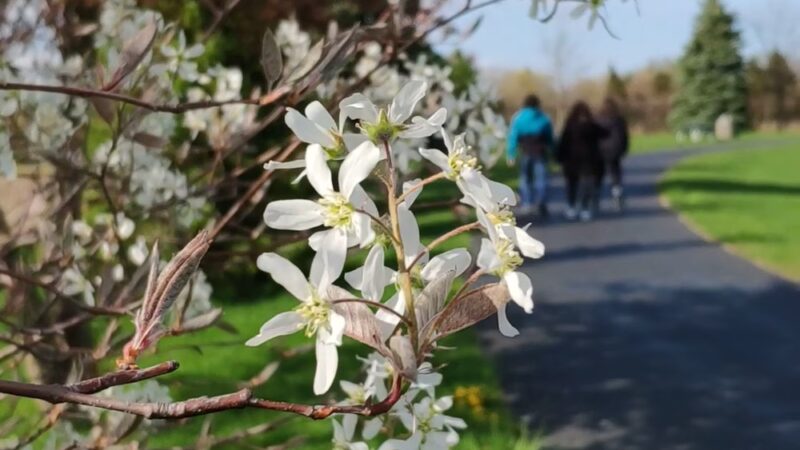 McCaslin Park - West Chicago, IL