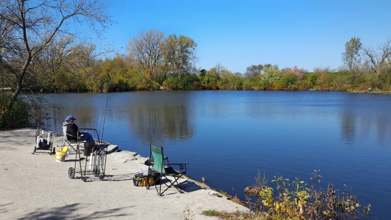Pratt's Wayne Woods - West Chicago, IL