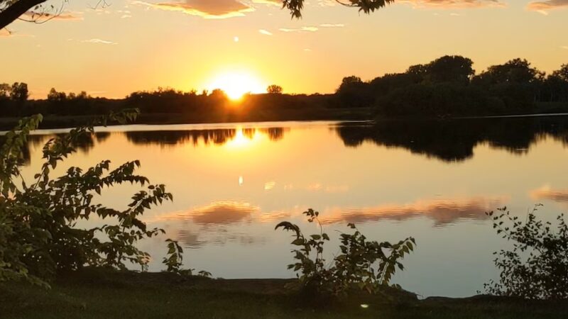 Pratt's Wayne Woods - West Chicago, IL