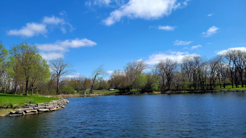 Pratt's Wayne Woods - West Chicago, IL