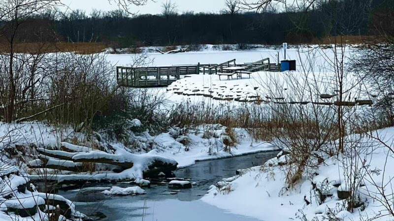 Pratt's Wayne Woods - West Chicago, IL