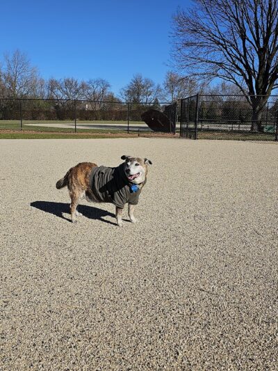 Reed Keppler Park - West Chicago, IL