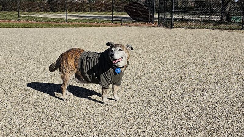 Reed Keppler Park - West Chicago, IL