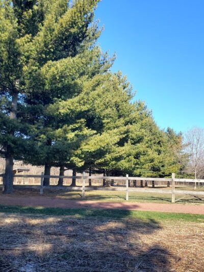 Reed Keppler Park - West Chicago, IL