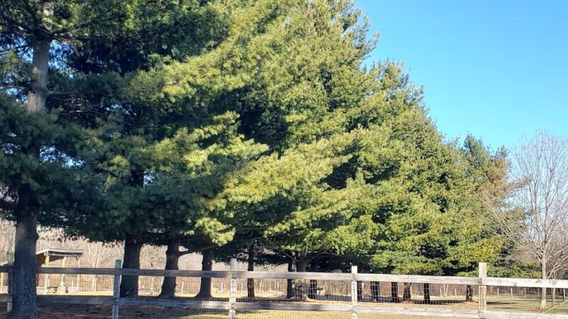 Reed Keppler Park - West Chicago, IL