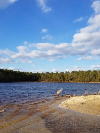 Stafford Forge Wildlife Management Area - West Creek, NJ