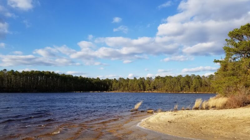 Stafford Forge Wildlife Management Area - West Creek, NJ