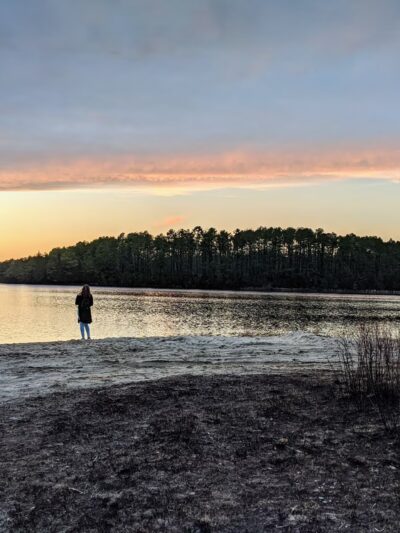 Stafford Forge Wildlife Management Area - West Creek, NJ