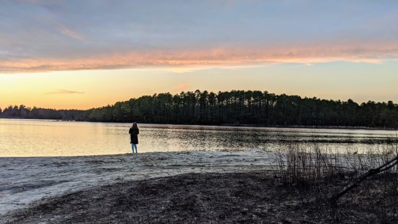 Stafford Forge Wildlife Management Area - West Creek, NJ