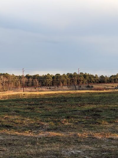 Stafford Forge Wildlife Management Area - West Creek, NJ