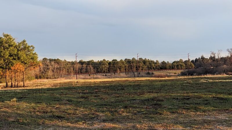 Stafford Forge Wildlife Management Area - West Creek, NJ