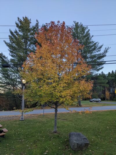 Dover Town Park - West Dover, VT