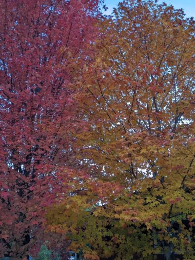 Dover Town Park - West Dover, VT