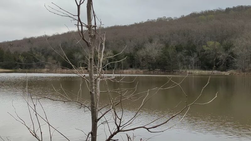 Lake Wilson Pavilion - West Fork, AR