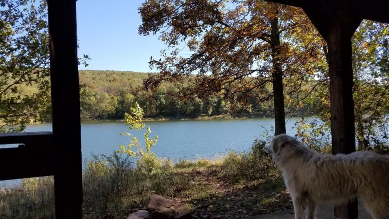 Lake Wilson Pavilion - West Fork, AR