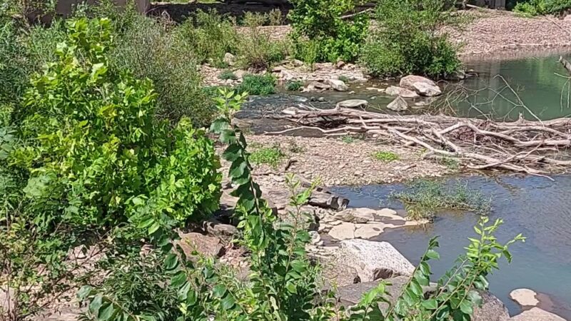 Riverside Park - West Fork, AR