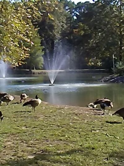 West Frankfort - West Frankfort, IL