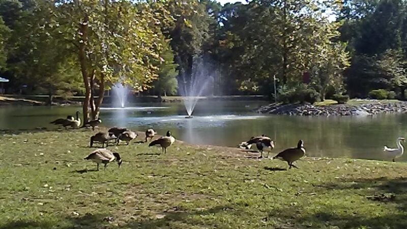 West Frankfort - West Frankfort, IL