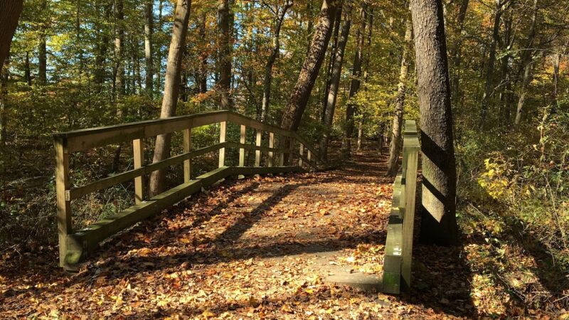 Goddard Park - West Grove, PA