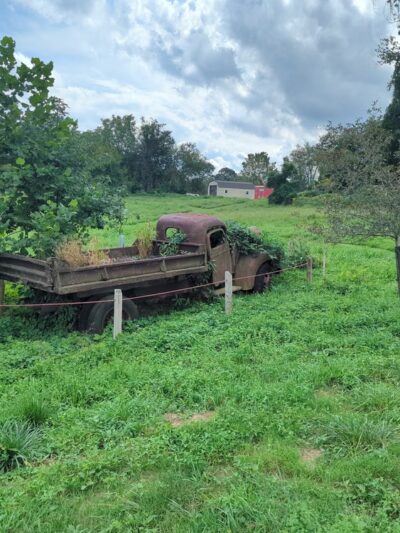 New London Township Park - West Grove, PA