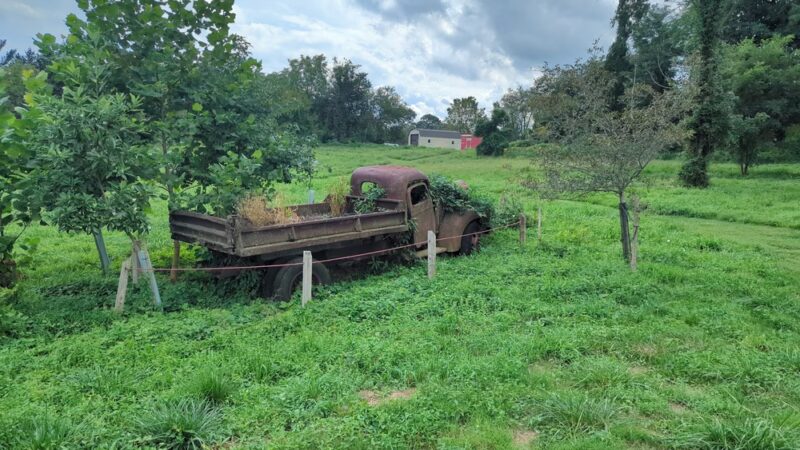 New London Township Park - West Grove, PA