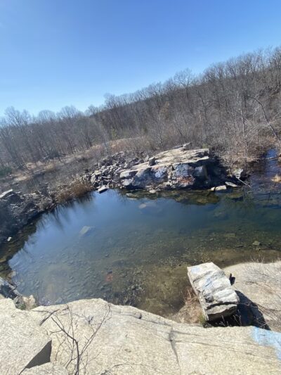 Cranberry Lake Preserve - West Harrison, NY