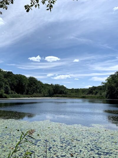 Cranberry Lake Preserve - West Harrison, NY