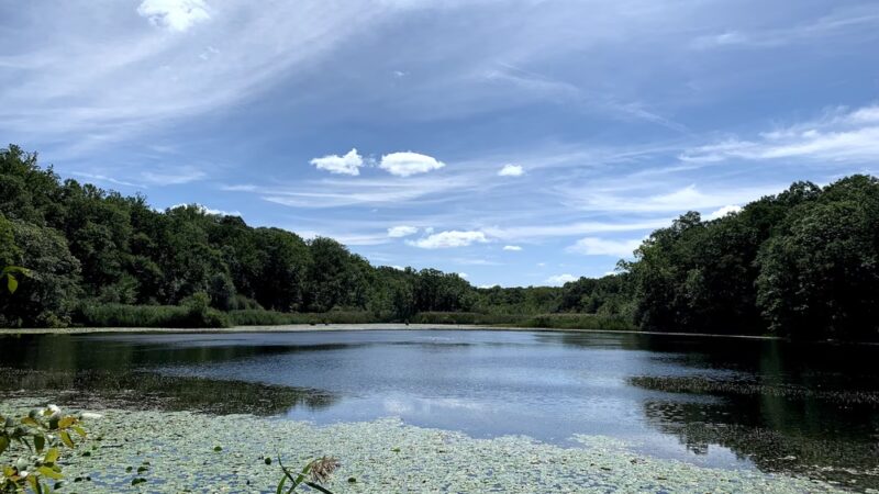 Cranberry Lake Preserve - West Harrison, NY