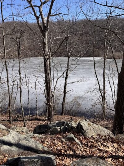 Cranberry Lake Preserve - West Harrison, NY