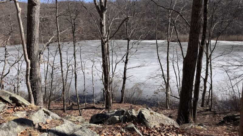 Cranberry Lake Preserve - West Harrison, NY