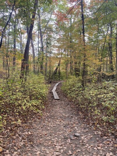 Cranberry Lake Preserve Parking - West Harrison, NY