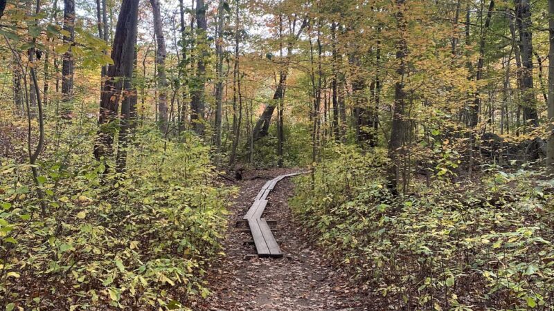 Cranberry Lake Preserve Parking - West Harrison, NY
