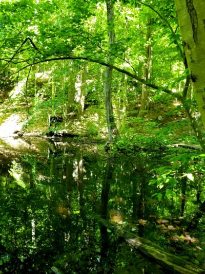Cranberry Lake Preserve Parking - West Harrison, NY