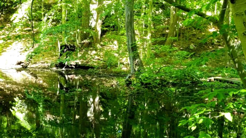 Cranberry Lake Preserve Parking - West Harrison, NY
