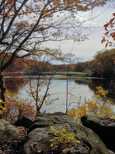 Cranberry Lake Preserve Parking - West Harrison, NY