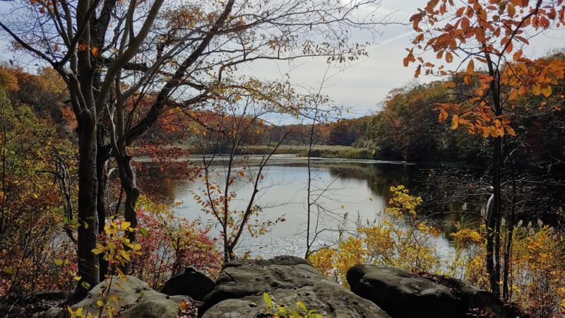 Cranberry Lake Preserve Parking - West Harrison, NY