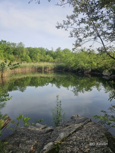 Cranberry Lake Preserve Parking - West Harrison, NY