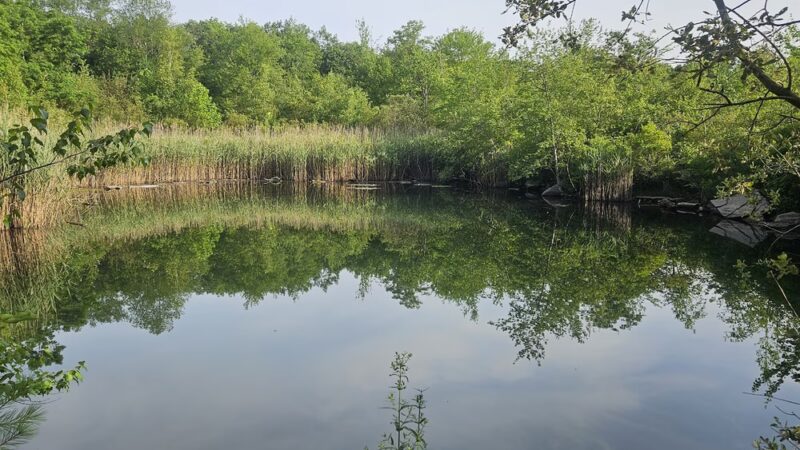 Cranberry Lake Preserve Parking - West Harrison, NY