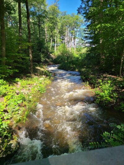 MDC Reservoir Park - West Hartford, CT