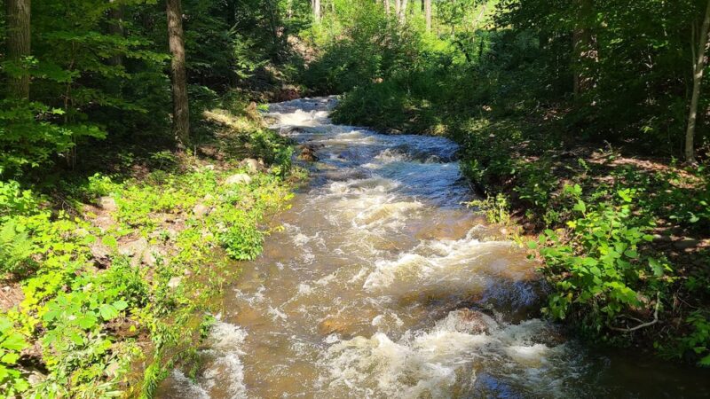 MDC Reservoir Park - West Hartford, CT