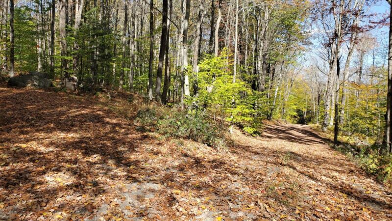 Tunxis Wildlife Management Area - West Hartland, CT