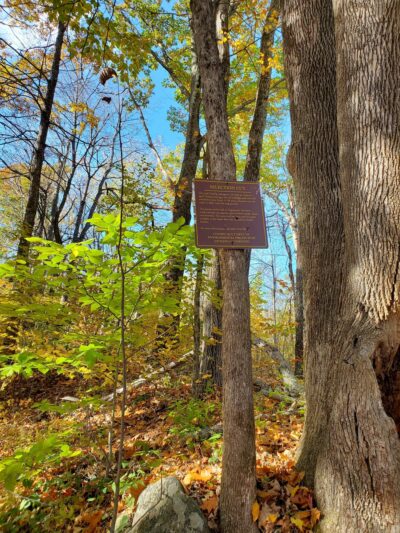 Tunxis Wildlife Management Area - West Hartland, CT