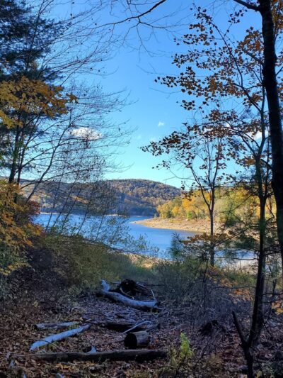 Tunxis Wildlife Management Area - West Hartland, CT